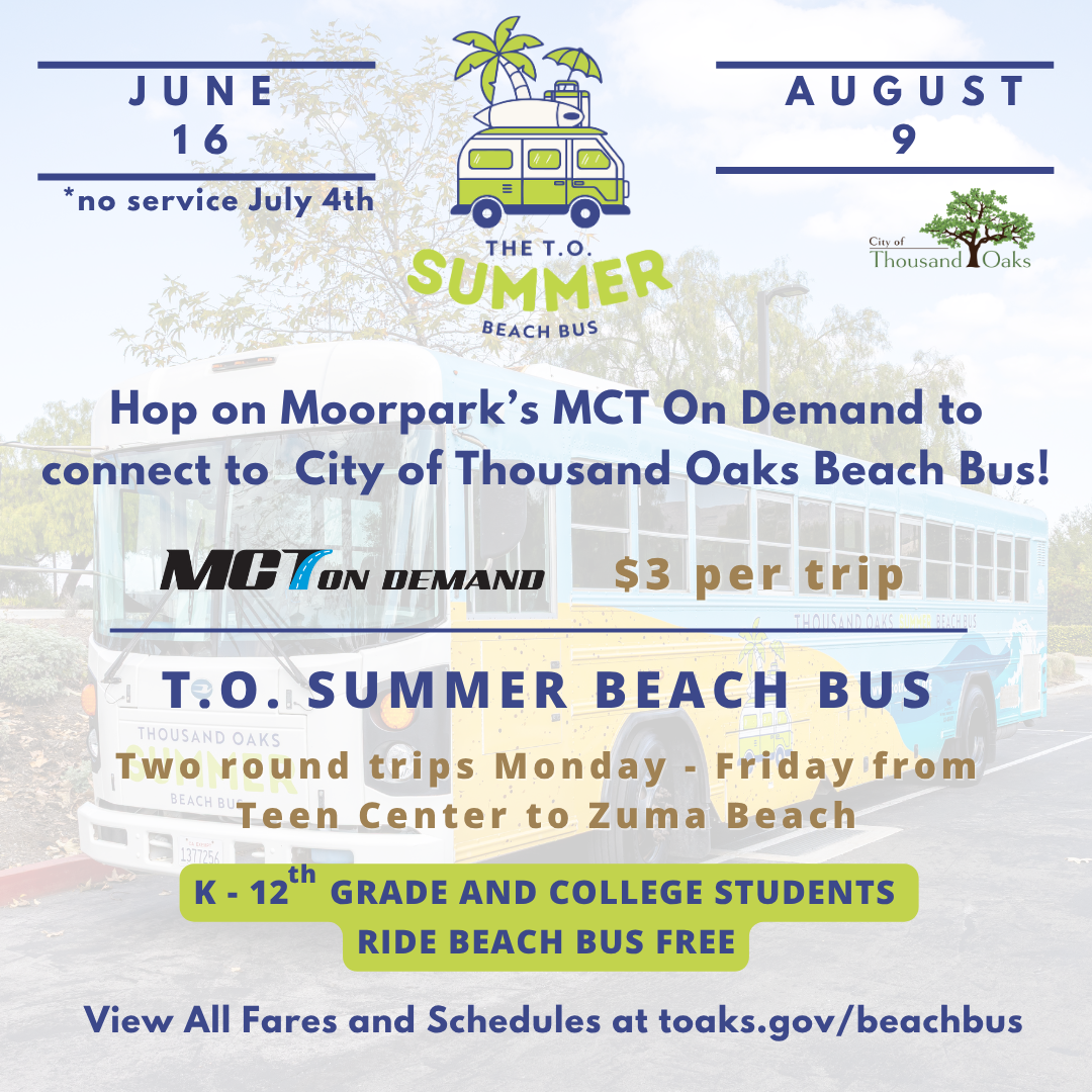 Social Media Post - Beach Bus 2025