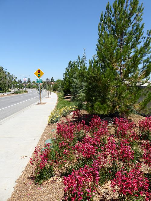 Traffic Control Sign