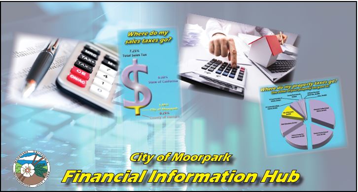 Financial Information Hub