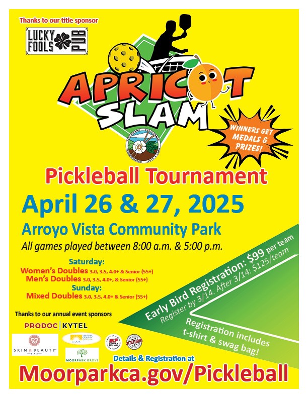Pickleball Tournament Flyer