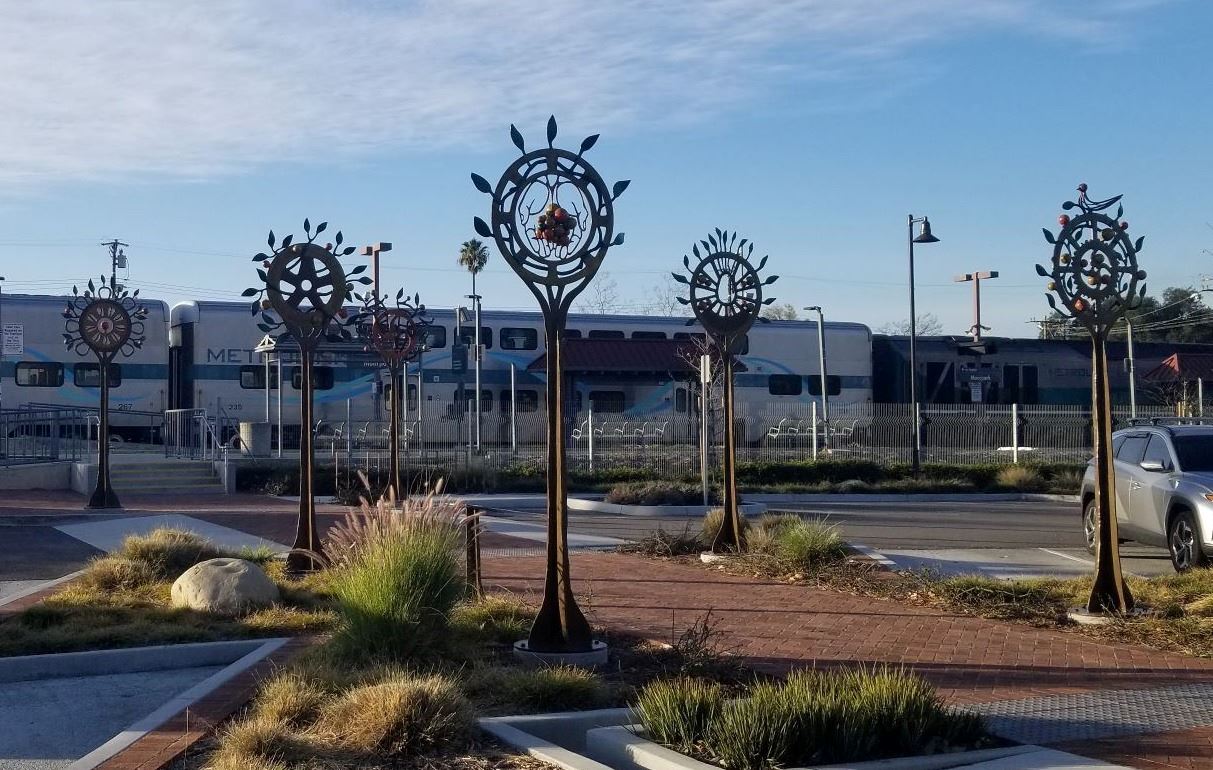 Moorpark Orchard Jan 31 24 Image 5