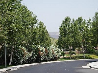 CC Park View